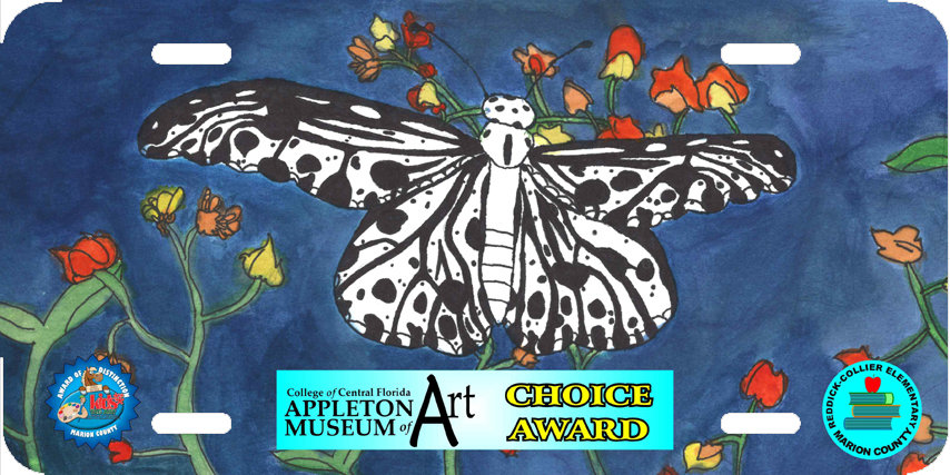 Appleton Museum Choice Award